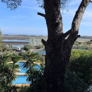 Casa Monte Vida - Monte Pego – Bild 12